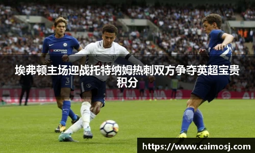 埃弗顿主场迎战托特纳姆热刺双方争夺英超宝贵积分